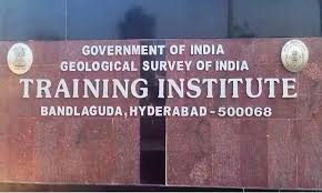 GSI,Training Institute,Pandemic