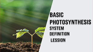 Basic Photosynthesis System Definition Lession