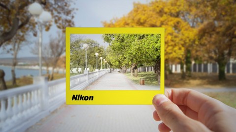 Beginner Nikon Digital SLR (DSLR) Photography