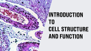 Introduction to Cell Structure and Function 