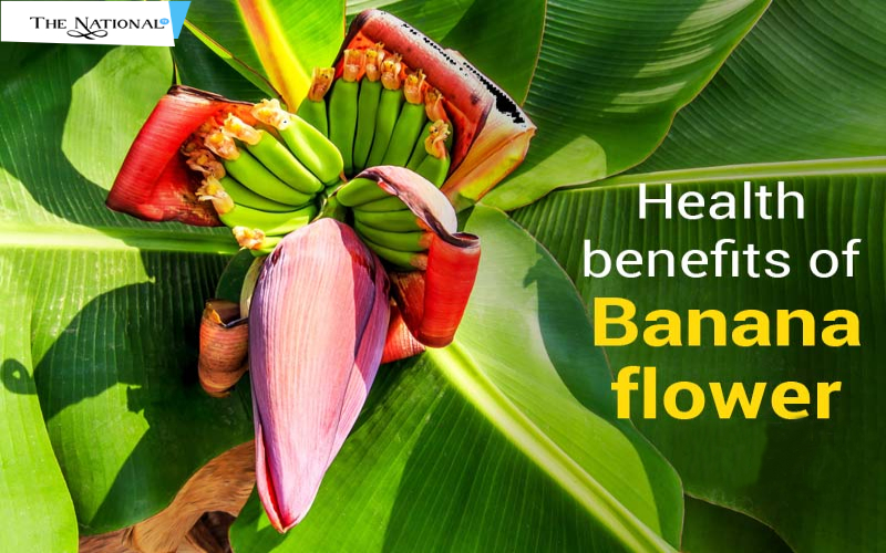 Banana Flower Has Many Benefits to Hair and Skin