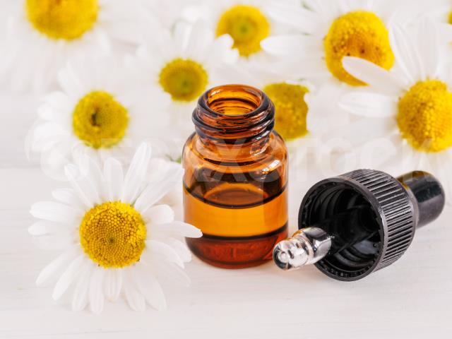 Fragrant oil of chamomile flowers in glass bottle