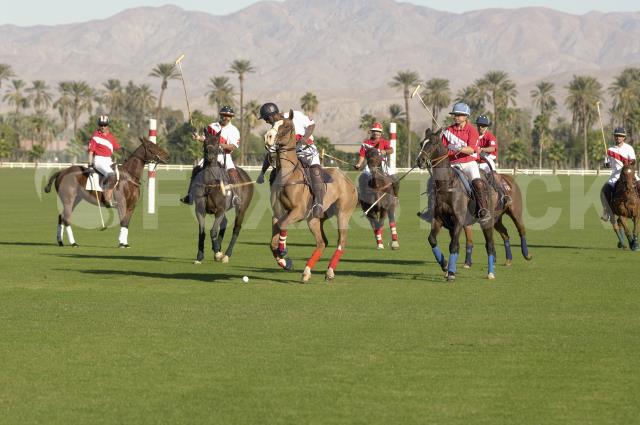 Polo Match