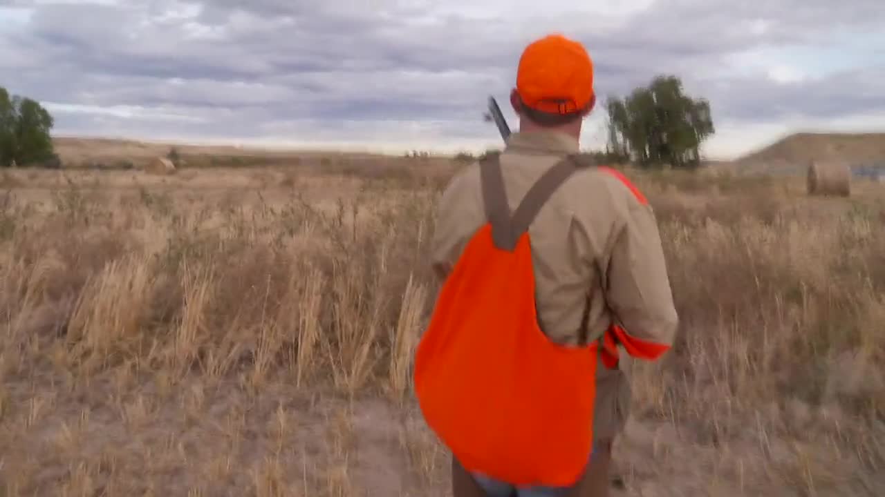 Big Sky Upland S2 EP1 - Outdoor Adventure Network