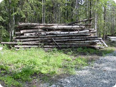 Logs-02