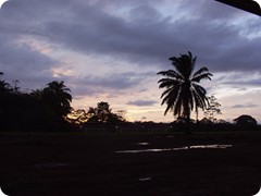 2003 Costa Rica