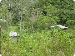 2003 Costa Rica