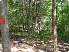 71-Low ropes - spider web
