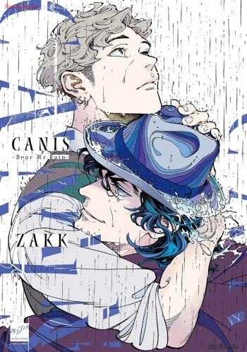 CANIS-Dear Mr.Rain