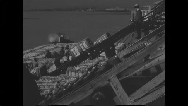 1930s: Men loading bales of cotton onto conveyor belts.