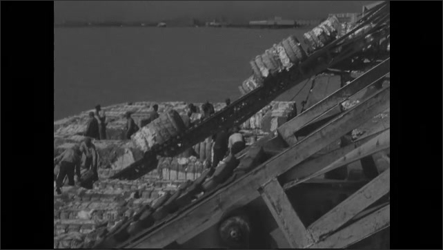 1930s: Men loading bales of cotton onto conveyor belts. Long shot of bales on dock, moving on conveyor belt. 