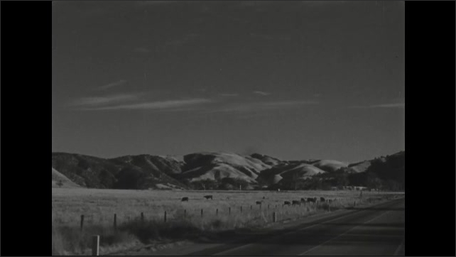 1930s: Cars drive past cattle ranch in rural landscape.