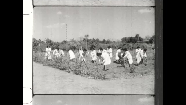 1940s: Professor talks to women in field.  Woman and cauliflower.  Woman weighs potato.  Women work in field.  Woman prunes tree while class looks on.