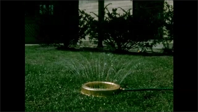 1950s: Car tire sits on asphalt road. Hand places ring sprinkler on grass. Water sprays from holes on ring sprinkler.