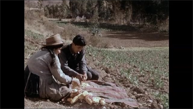 1950s: Man and woman sit outside, remove kernels from corn. 