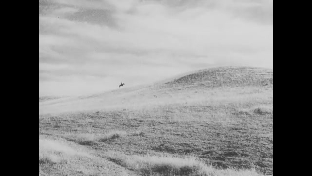 1930s: Fields of grain of rolling hills. Person rides horse to top of hill.