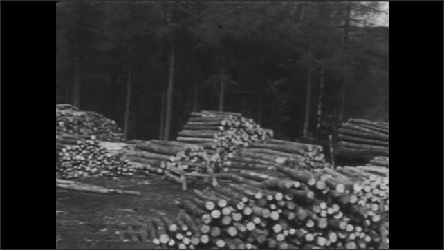 1940s Britain: Men cut and saw down trees. Truck loaded with logs drives off. Lumberyard with logs. Frame built in mine. Men lift telephone pole.
