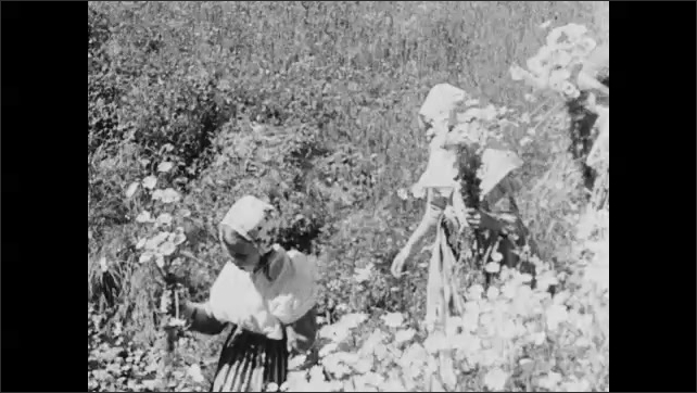 1950s: Girl sits in field, makes flower ring. Girl put wreath of flowers around goat's neck. Children play in flowers. Children rowboat on lake. Child stands next to woman, woman churns butter.  