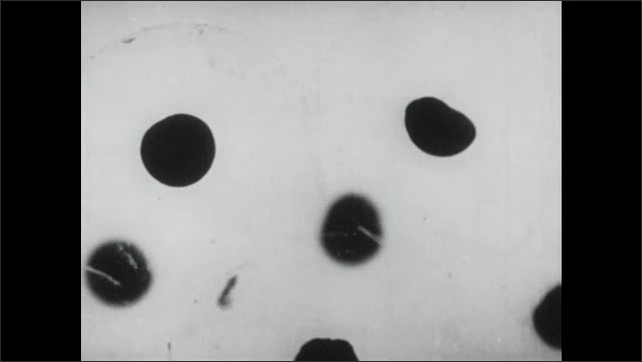 1930s: A mass of frog's eggs underwater. A close up of the eggs reveals tadpoles developing at increased speed.