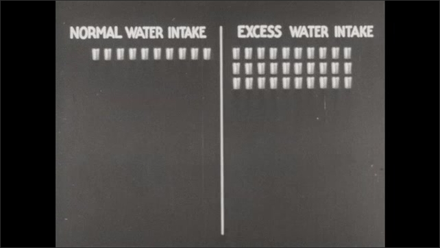 1940s: Bear grabs fish from river, walks away. Chart compares water loss from different processes.  