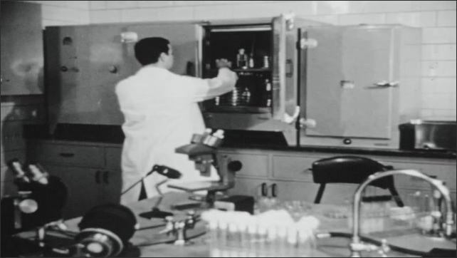 1950s: Close up, hand presses on jelly in petri dish. Man puts petri dish in cupboard. Hand holds up moldy petri dish. 