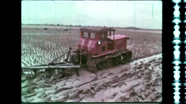 1960s: Small tractor on tracks rolls across muddy field, drags plow across earth. Water buffalo pulls plow across field, man follows, holds handles.