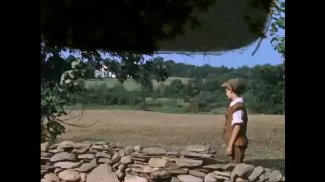 1700s: Colonial boy climbs over rock wall and looks at farmhouse across field. Colonial boy stands from rock wall stretches. Boy walks away from rock wall.