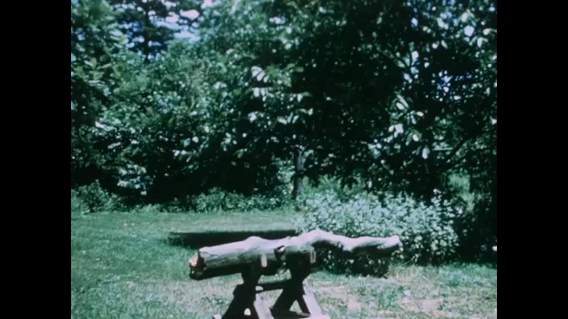 1700s: Man and boy approach a log on a stand. Man use a pocket knife to point at and mark various parts of the log. He circles areas.