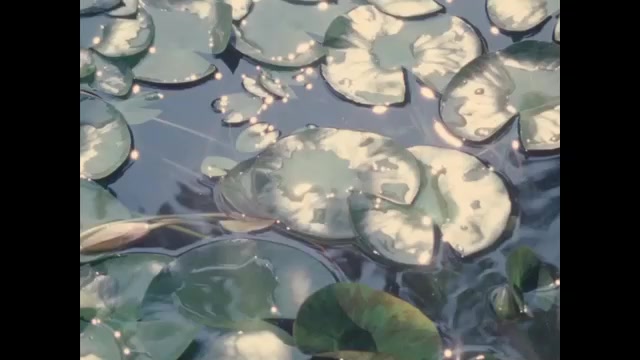 1970s: Water lilies in pond. Frog on lily pad.