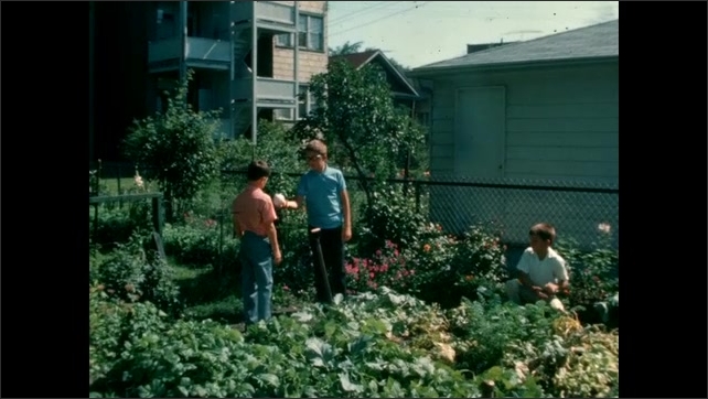 1950s: 2 boys are gardening in a backyard. A third boy walks up to boy digging with a shovel, they pass a baseball back and forth. Production slate. Chuck Taylor shoes and digging with a rake.