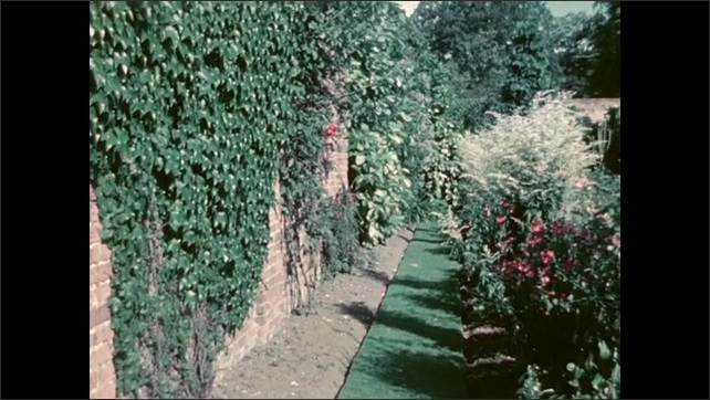 1950s: Clapboard, shots of garden. 