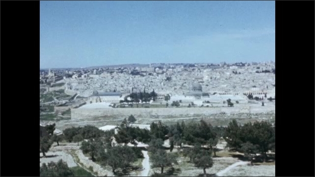 1950s: Stone buildings on hillside with domed building in the foreground. Olives tree in foreground, walled city in the background. Herd of livestock by hills. 