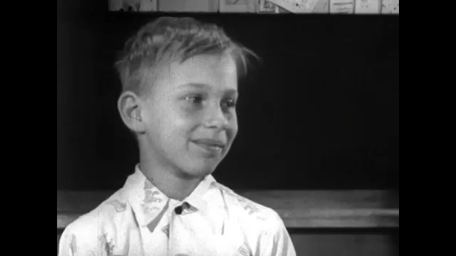 CLASS 5 GUIDE BOY visual data 8