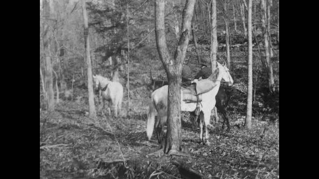 1900s: Men ride horses through forest.  Train station.  Tied up man pushes telegraph machine for help and falls to floor.
