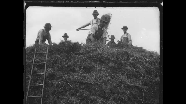 1920s: Men on pile of hay with pitchforks. Men pitchfork hay onto top of wood supports. Piles of hay across field.