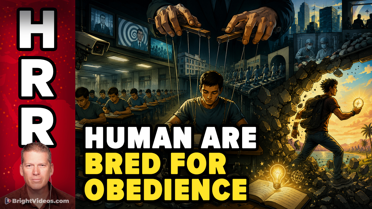 Humans are Bred and Raised for OBEDIENCE, not Intelligence
