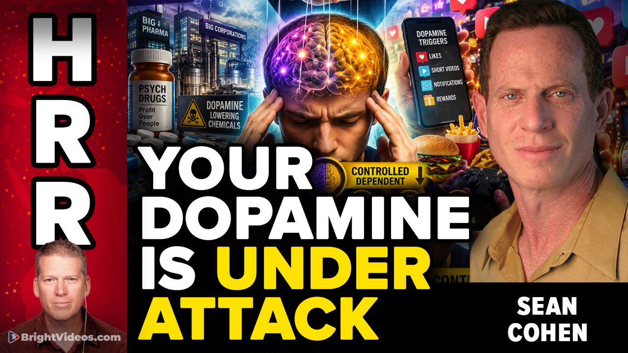 Sean Cohen Interview: Your Dopamine Is Under Attack, Mental Health Warfare and Brain Optimization
