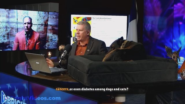 Sedentary Pets: The Hidden Link to Disease & Cancer