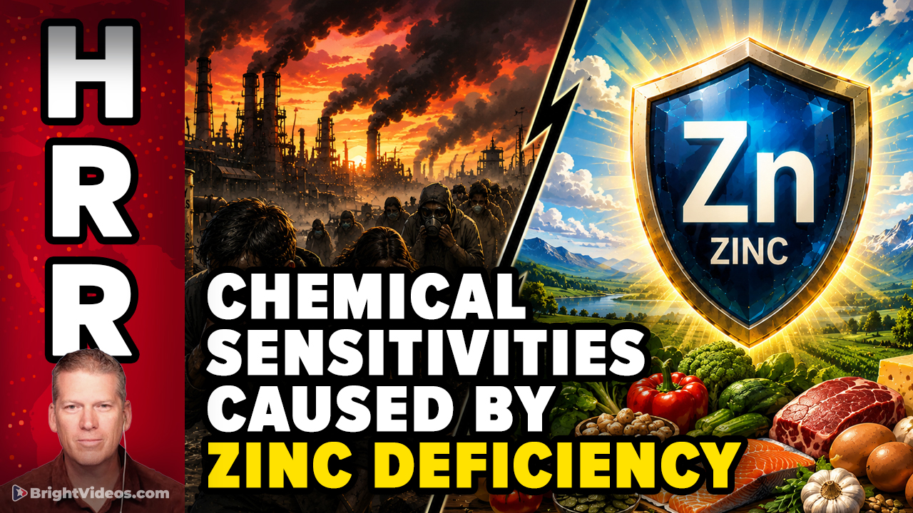 Discovery #4 - Zinc Deficiency Leads to Multiple Chemical Sensitivities
