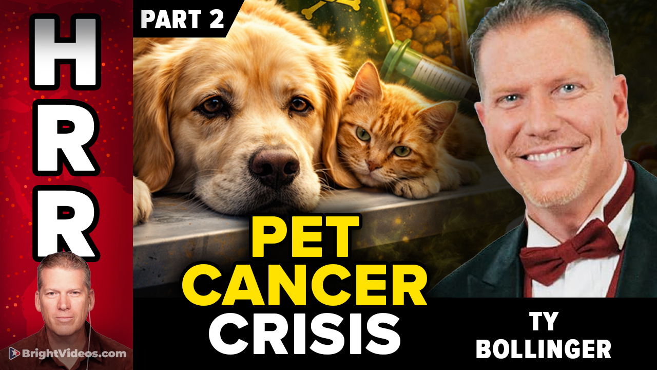 Ty Bollinger Interview: The Hidden Causes of Pet Cancer (Part 2)

