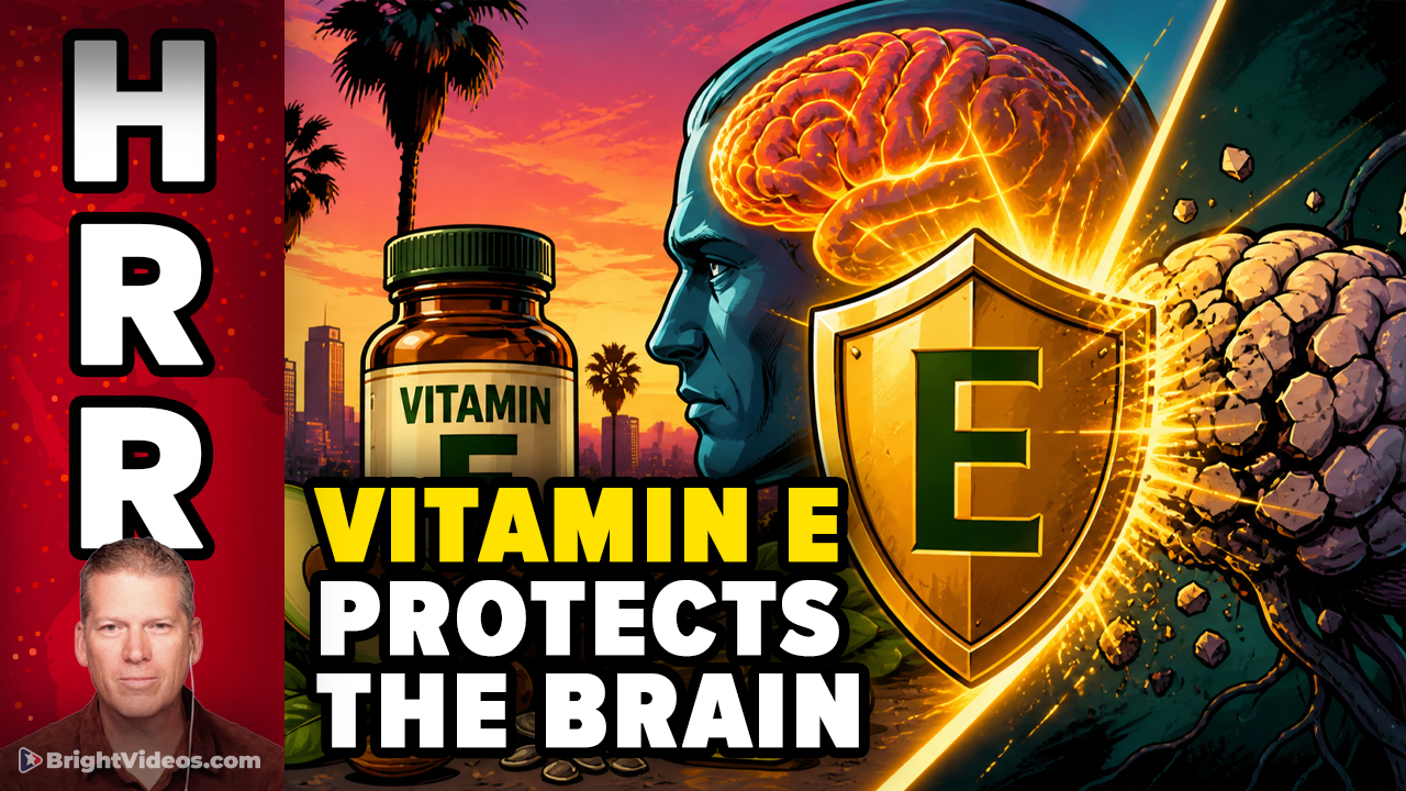 Discovery #2 - How Vitamin E Protects the Brain From Alzheimer's Decline

