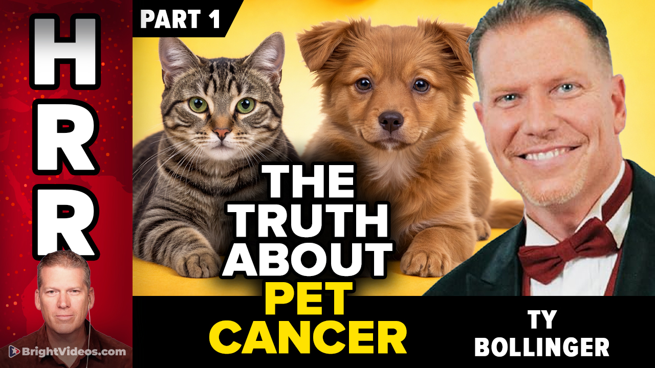 Ty Bollinger Interview: The Truth About Pet Cancer, Toxic Causes, and Natural Remedies (PART 1)
