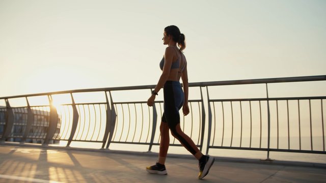 Your Immune System's Secret: The 24-Hour Clock You Must Master