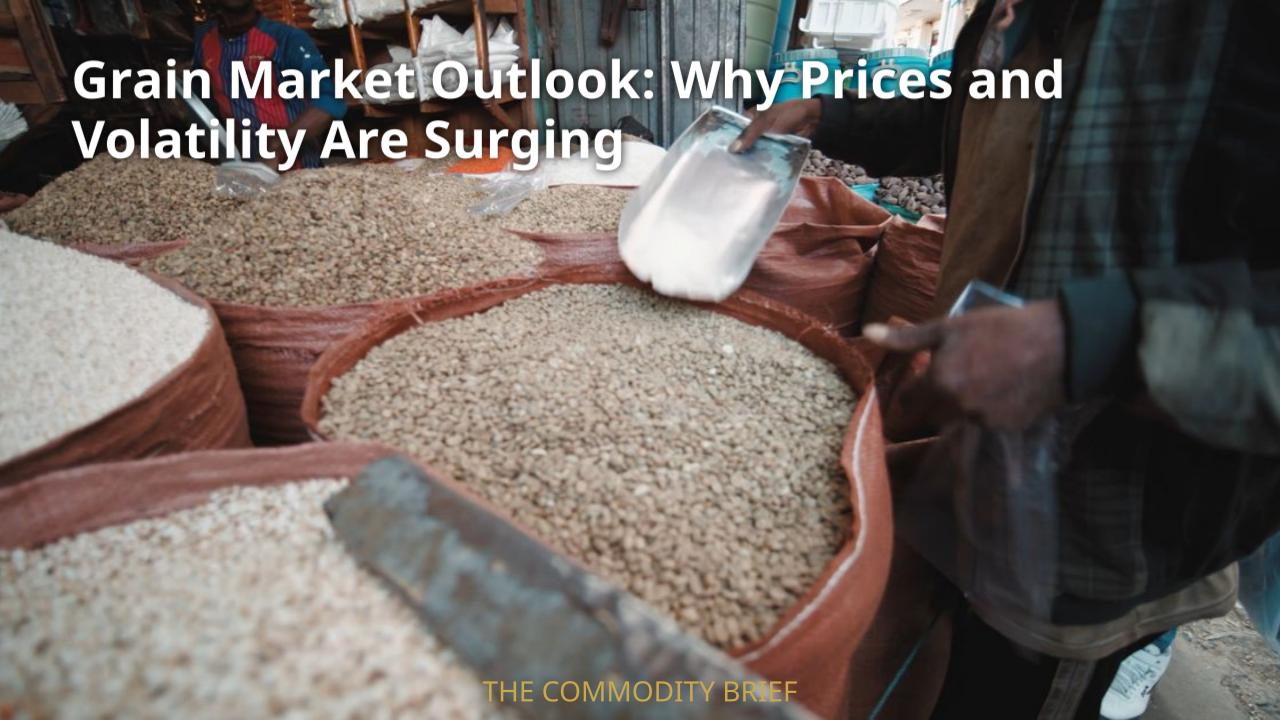 Grain Market Outlook: Why Prices and Volatility Are Surging