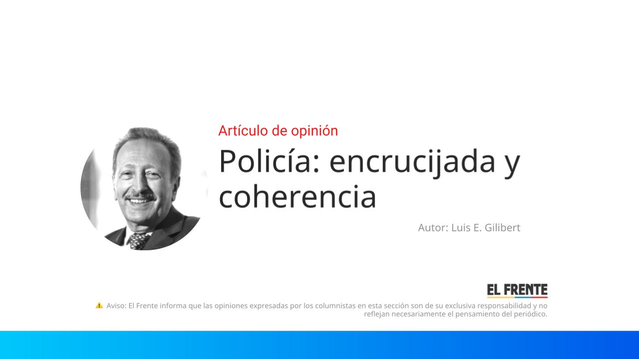 Policía: encrucijada y coherencia imagen de la publicación