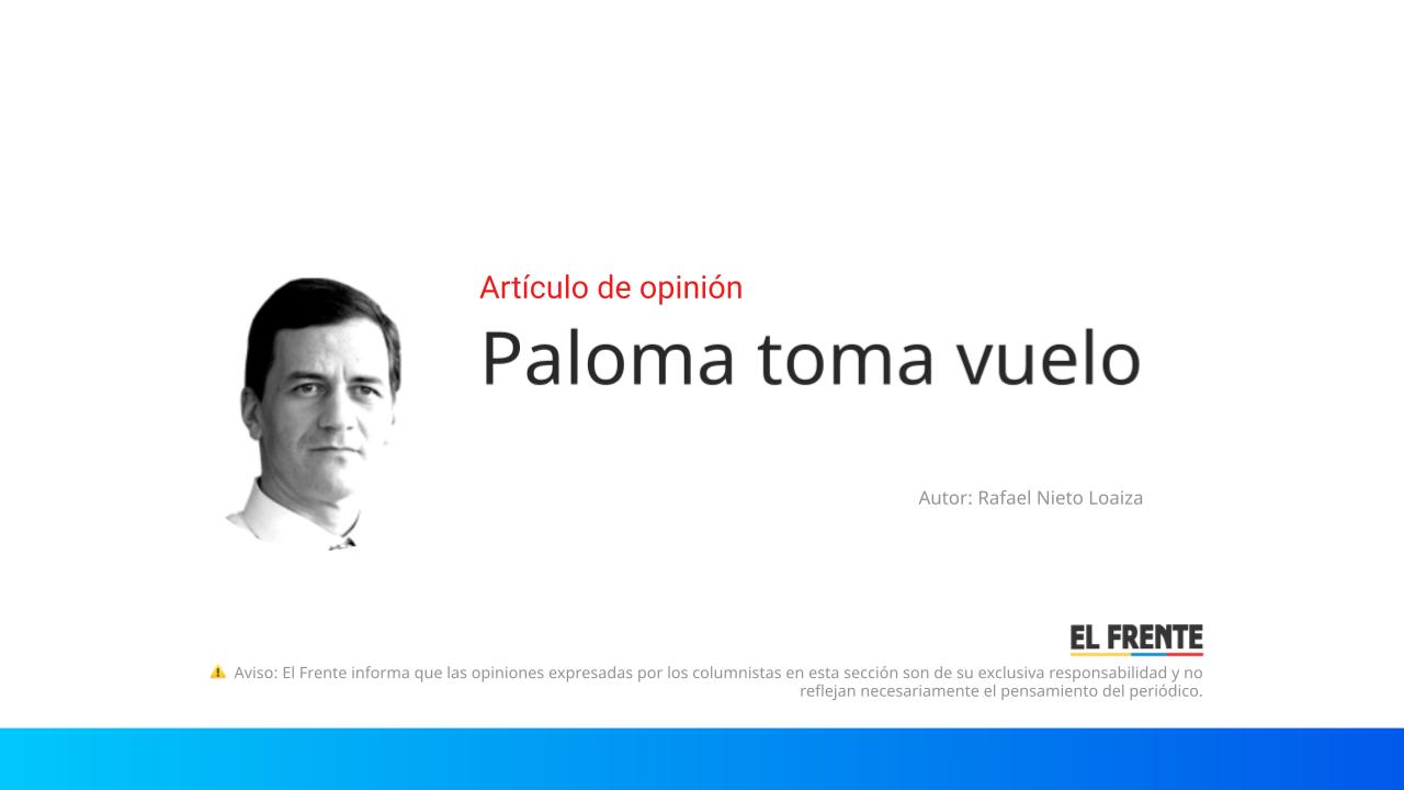 Paloma toma vuelo imagen de la publicación