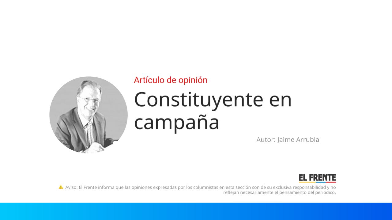 Constituyente en campaña imagen de la publicación