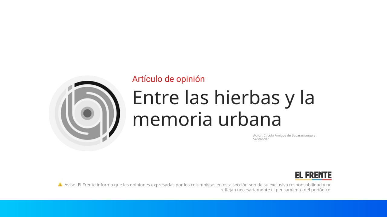 Entre las hierbas y la memoria urbana