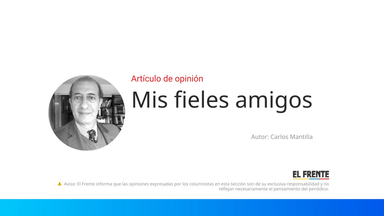 Mis fieles amigos imagen de la publicación