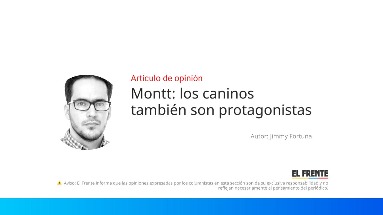 Montt: los caninos también son protagonistas imagen de la publicación